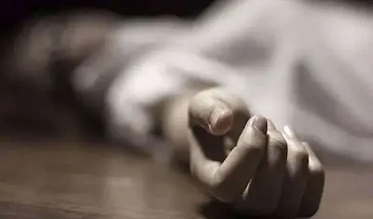 suicides_V_jpg--816x480-3g